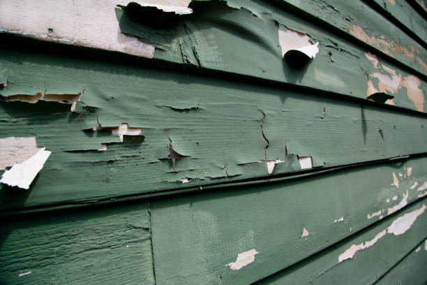 Hampton, TN Junk Removal Company