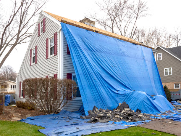 Best Furniture Removal  in Hampton, TN